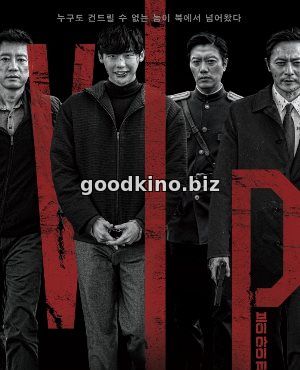 V.I.P. (2017)