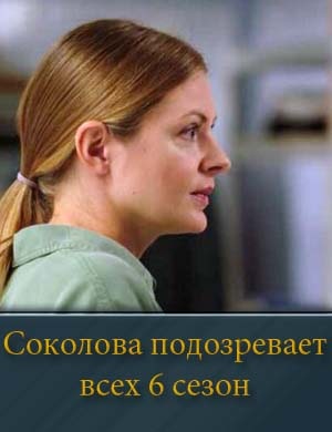 Смотрите Соколова подозревает всех 6 сезон