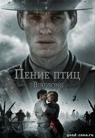 Птичья песня смотреть